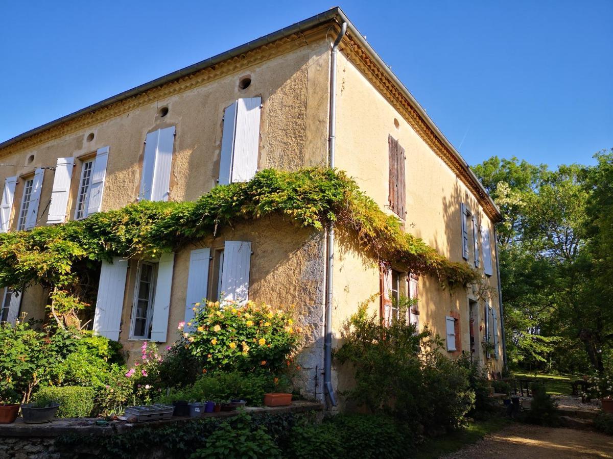 Mule Bed & Breakfast Lagardere Bagian luar foto