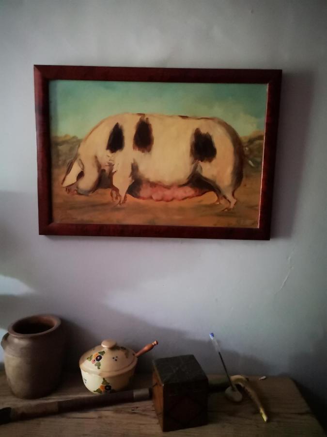 Mule Bed & Breakfast Lagardere Bagian luar foto